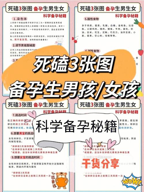 包生男孩正规机构-包生男孩正规机构：培养未来之星