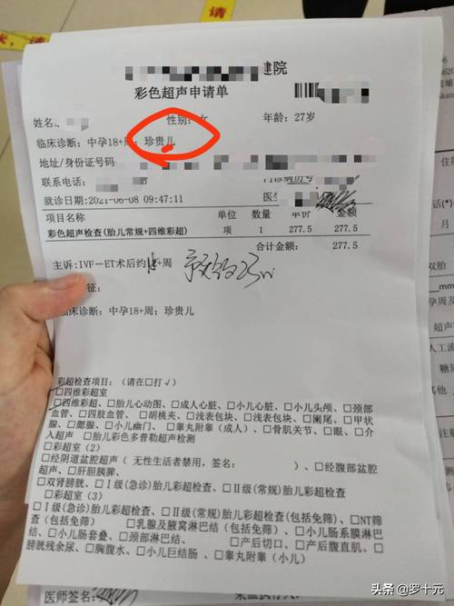 供卵供精做试管要多少钱_试管婴儿：供卵供精做试管要多少钱？